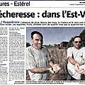 Des nouvelles des cultures bio et locales ds pois chiches, lentilles, blé, tournesol ... des fères pacifico (var matin)