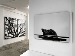 Eric Poitevin, Vue de l'exposition